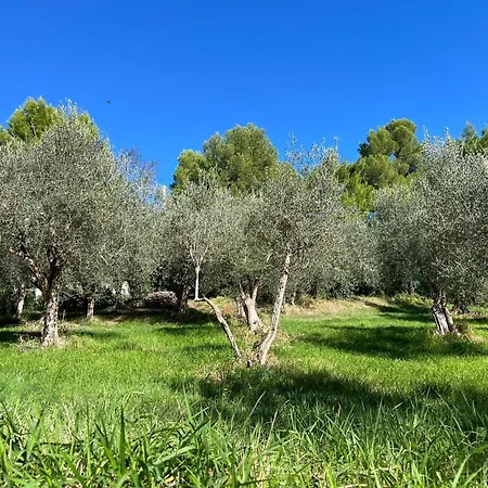Villa Monacelli-3